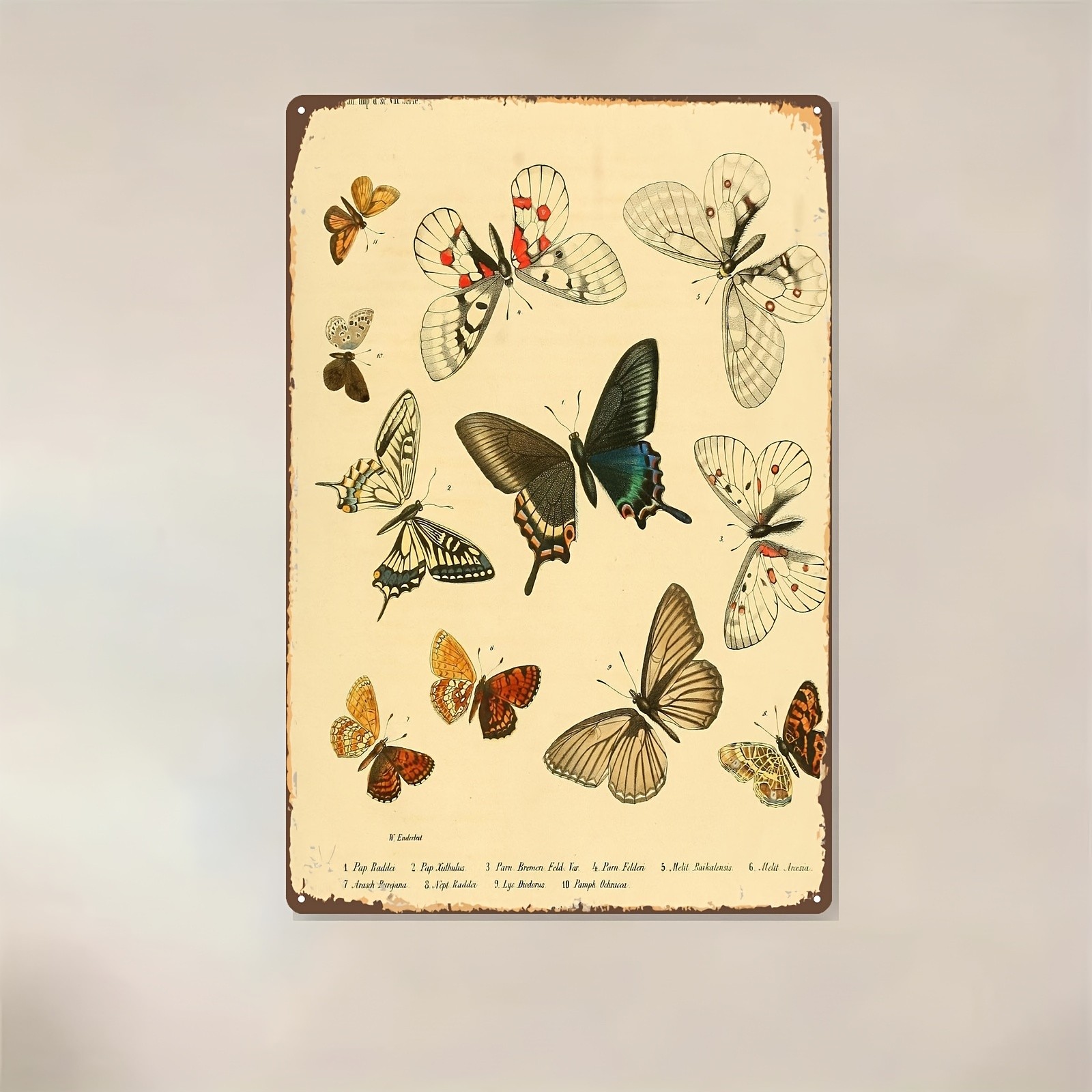 Vintage Metal Butterfly Wall Art 20.32×30.48 cm