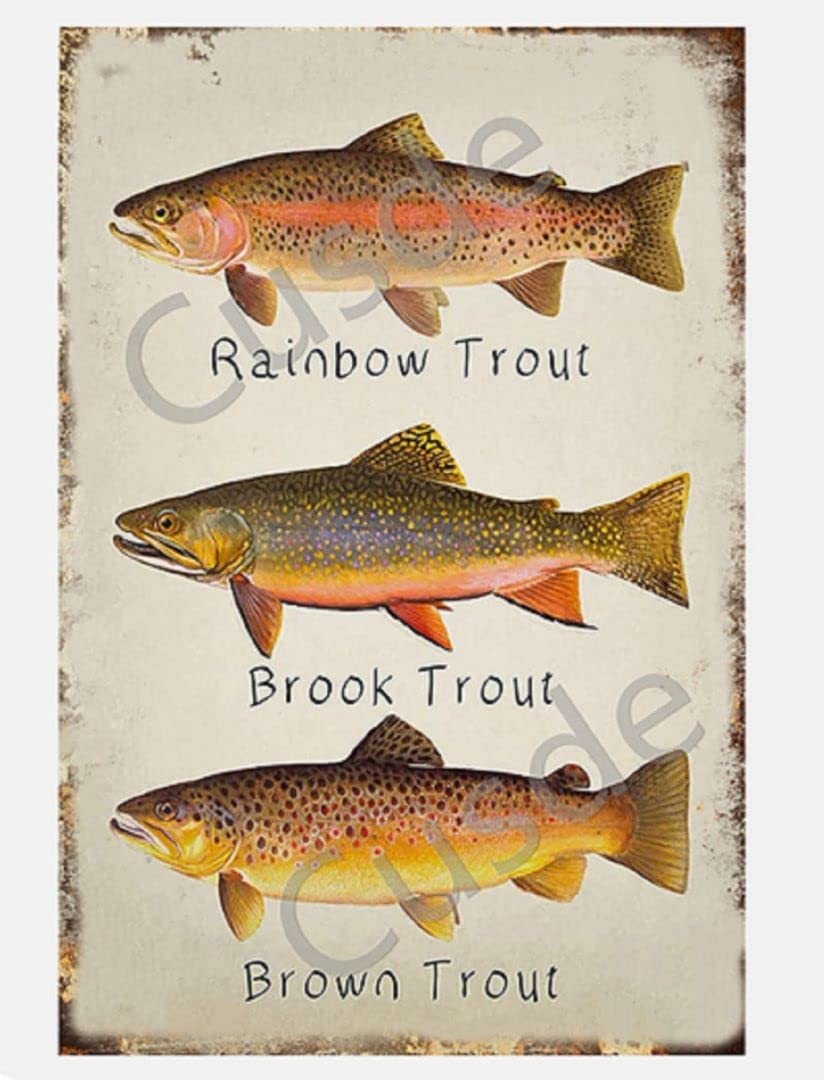 Cusde Rainbow Trout Metal Tin Sign Brook Wall Art 12″L x 8″W, multi