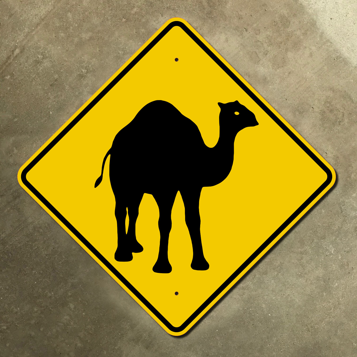 Australia Camel crossing warning highway marker road sign wildlife 16×16