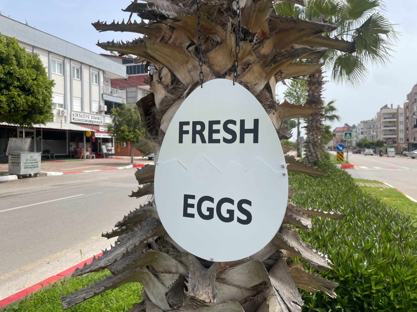 Fresh Egg Station Signs, Farm Fresh Egg Sign, Chicken Coop Eggs Sign