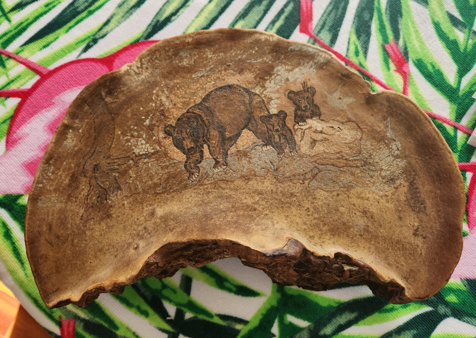 Carved Conk Shelf Mushroom Art Decor Woodsy Forest MCM 15 1/2″ x 10″ x 5″