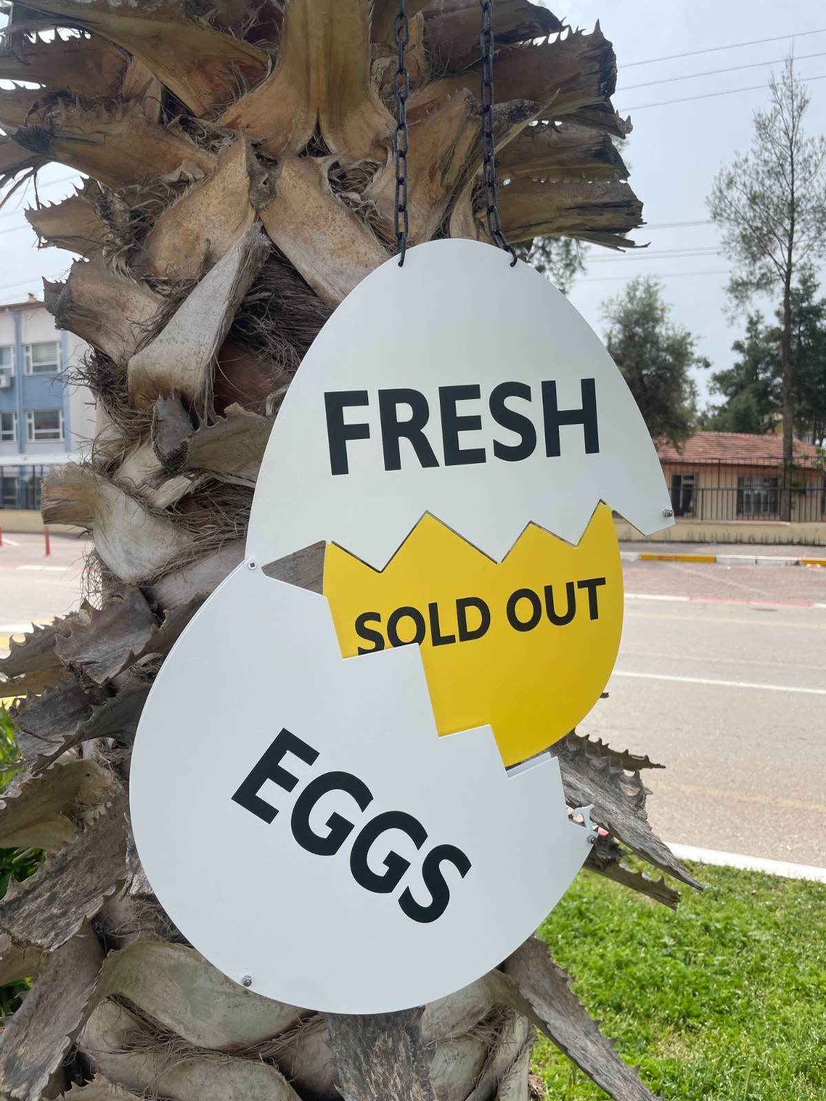 Fresh Egg Station Signs, Farm Fresh Egg Sign, Chicken Coop Eggs Sign