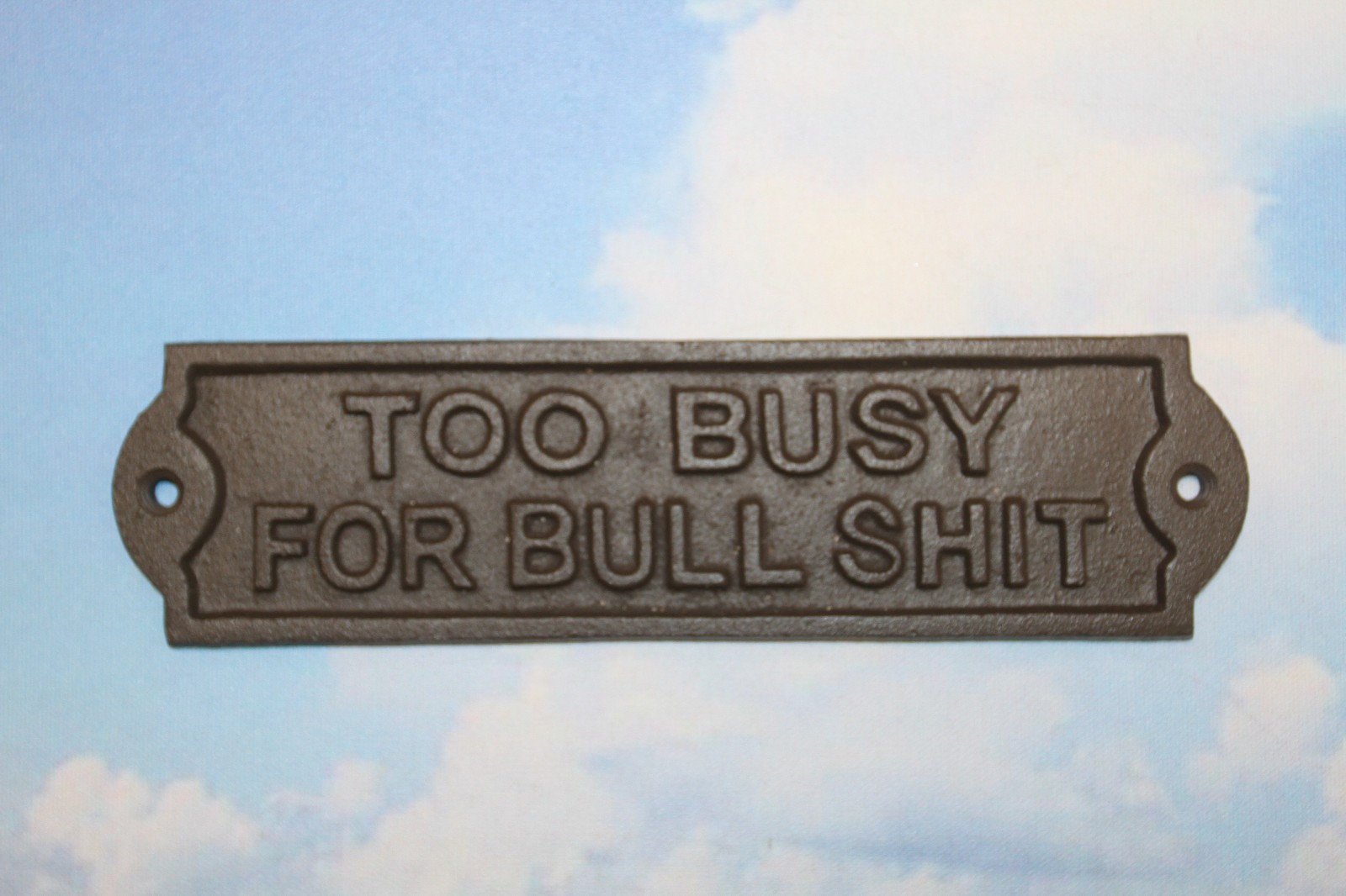 2-TOO BUSY FOR BULLSHIT Metal Humorous Sign,Country Decor,Shop Wall Sign,W-65