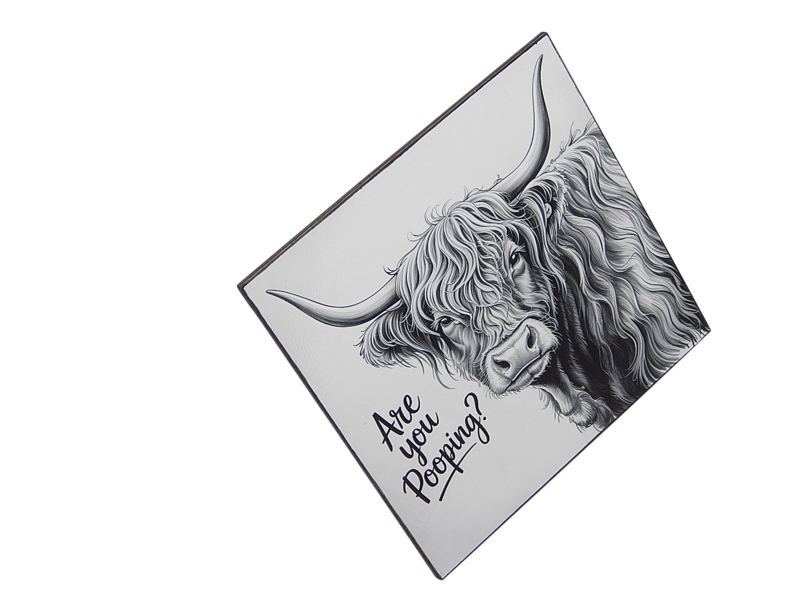 Are You Pooping Funny Highland Cow Bathroom Sign Shelf Sitter Wall Art 5″ x 5″