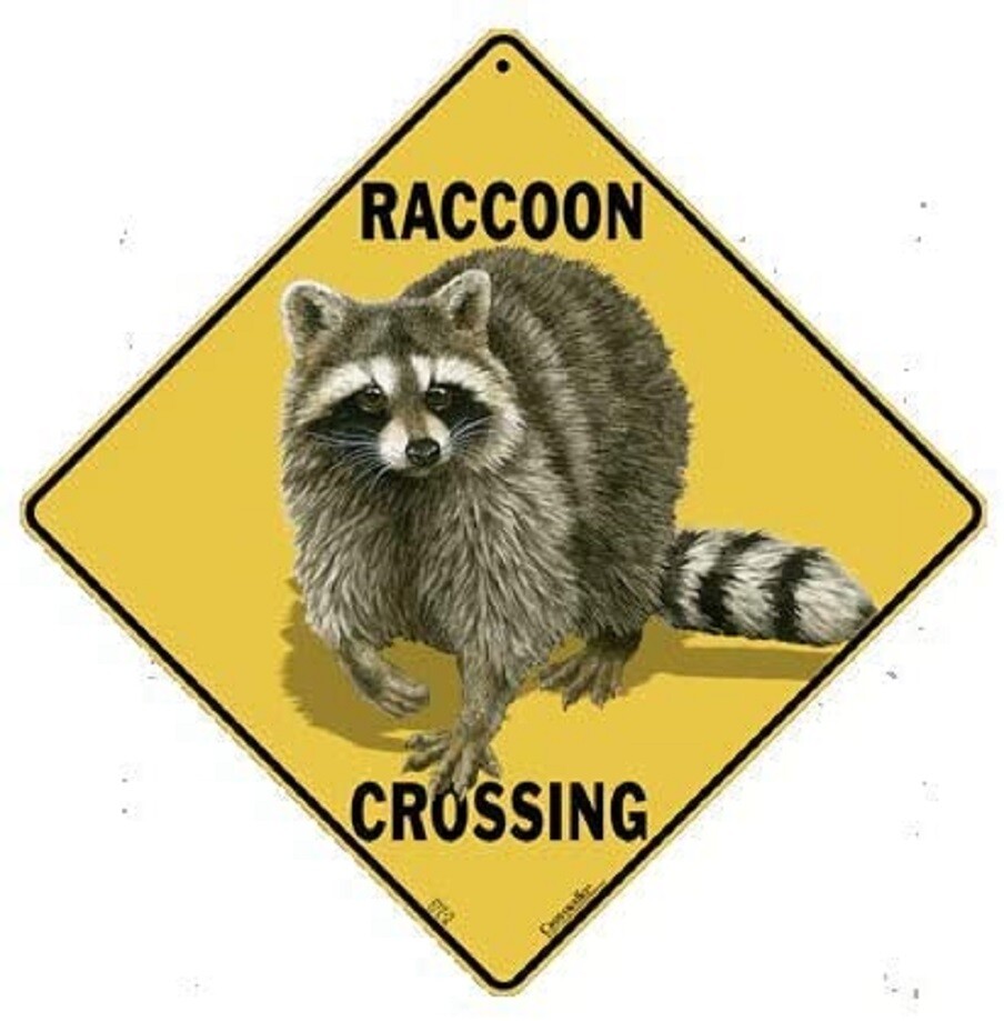 RACCOON Crossing Sign, 12″ on sides, 16″ on diagonal, Indoor/Out-Aluminum