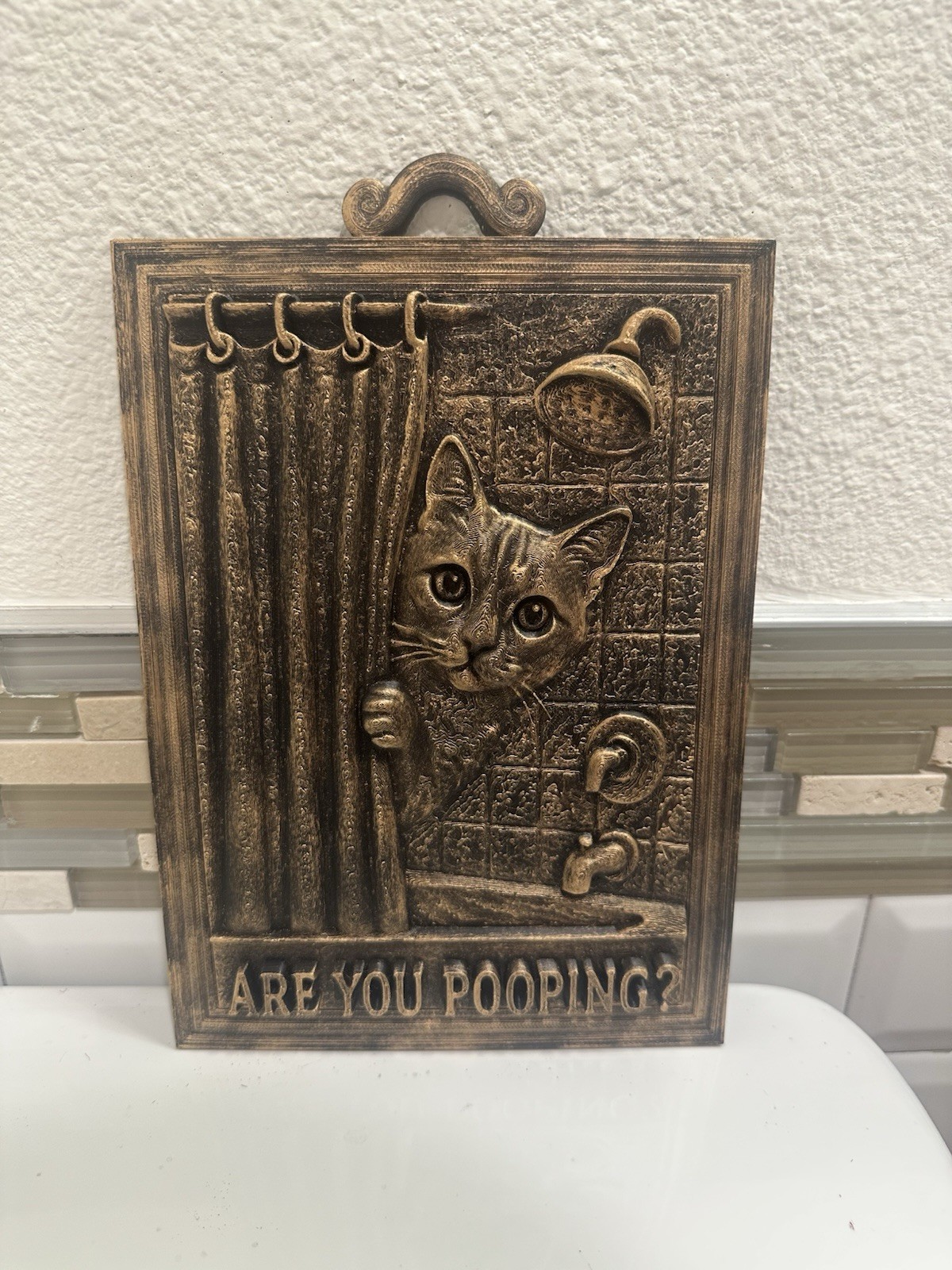 9” X 6.5” Funny Are You Pooping Cat Bathroom Sign Wall Art Home Decor 3d Hanging