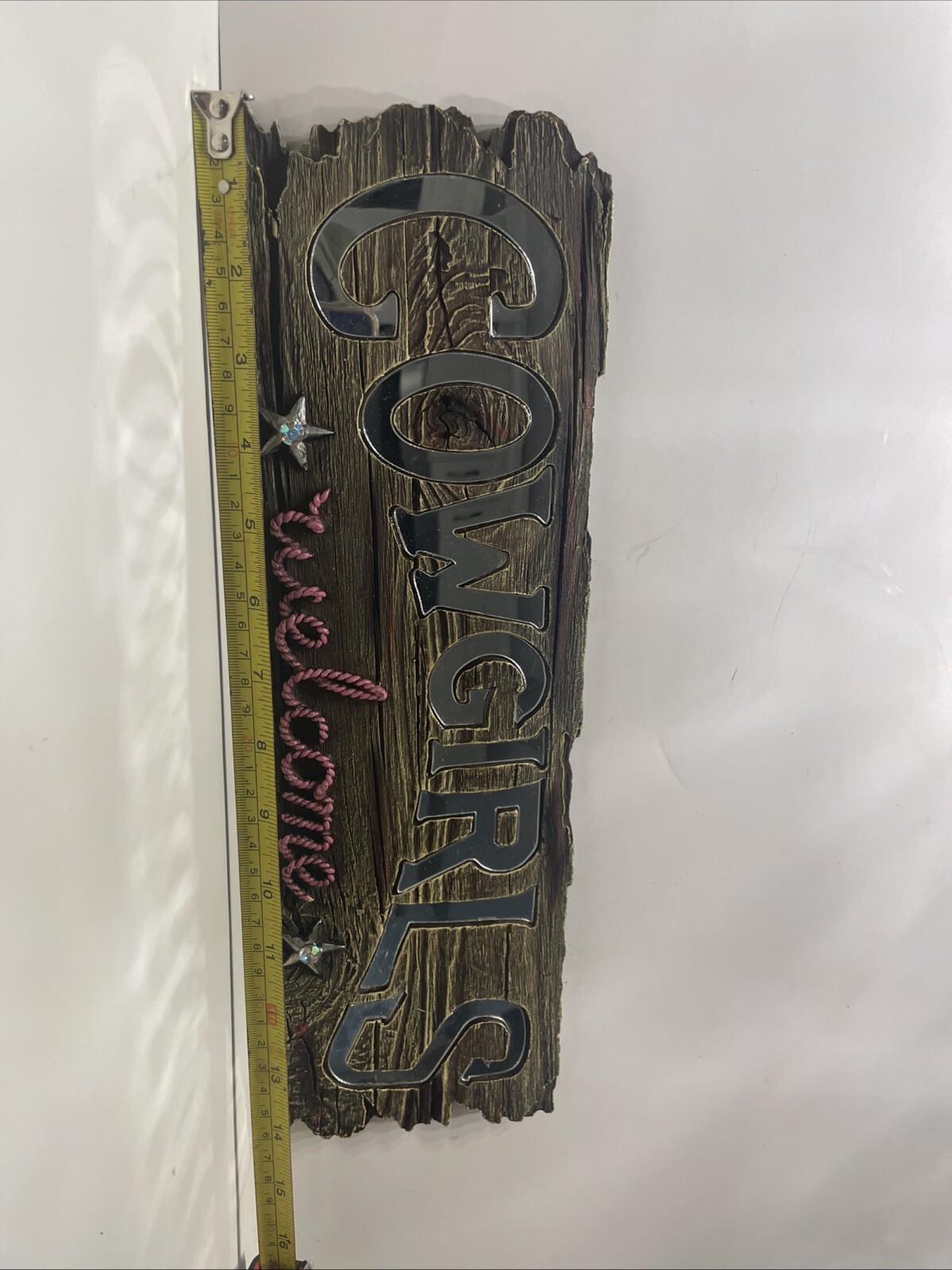 Home Accents COWGIRLS WELCOME WOODEN MIRRORED HANGING WALL DECOR PINK LETTER
