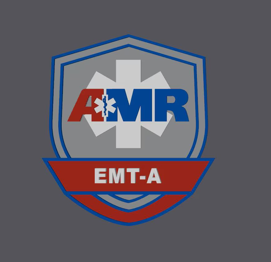 Paramedic Wall Art: AMR EMT 3D Embossed Plaque (Display or Gift)