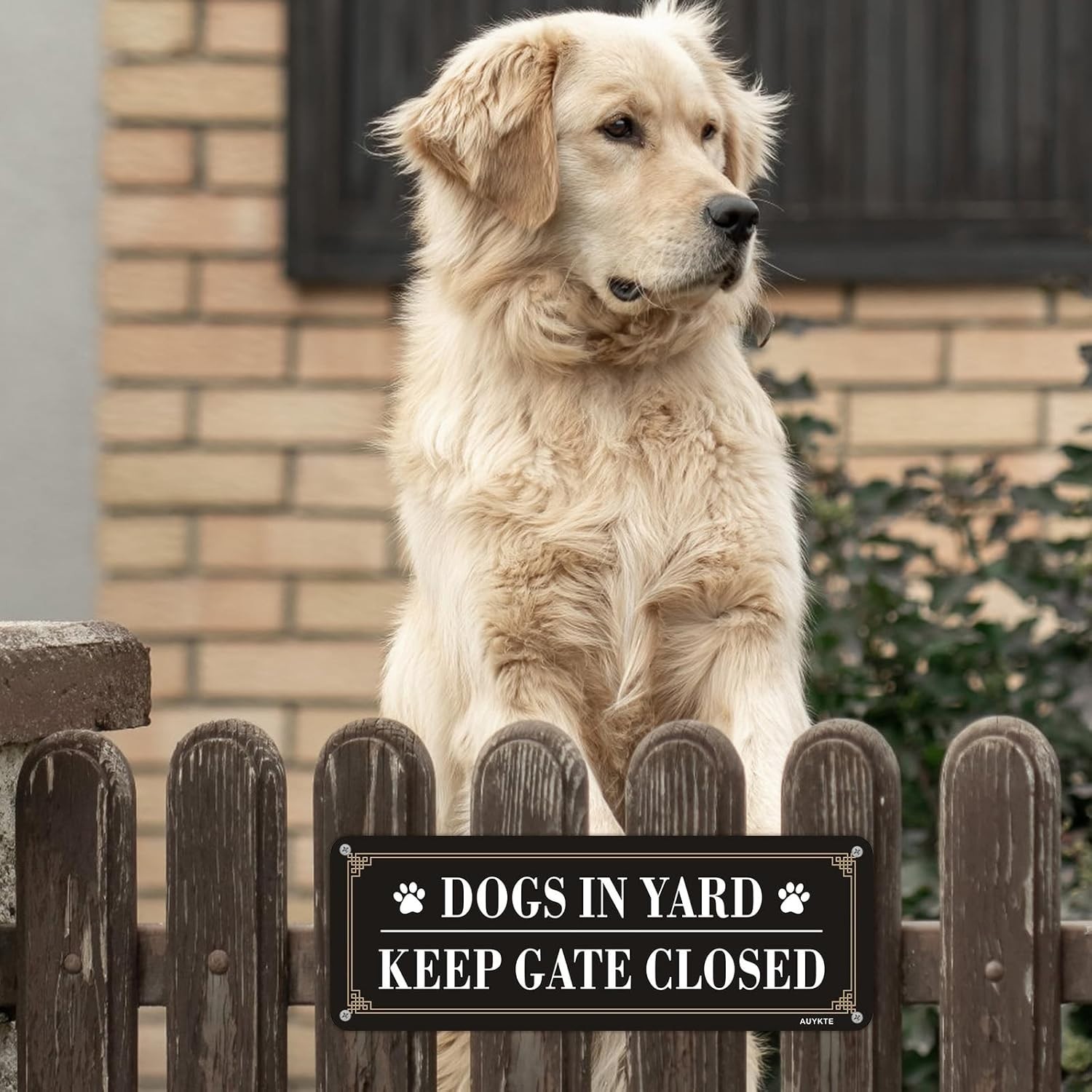 4 Pack Reflective Aluminum Signs: Dogs in Yard, Keep Gate Closed – 10×3.5 in