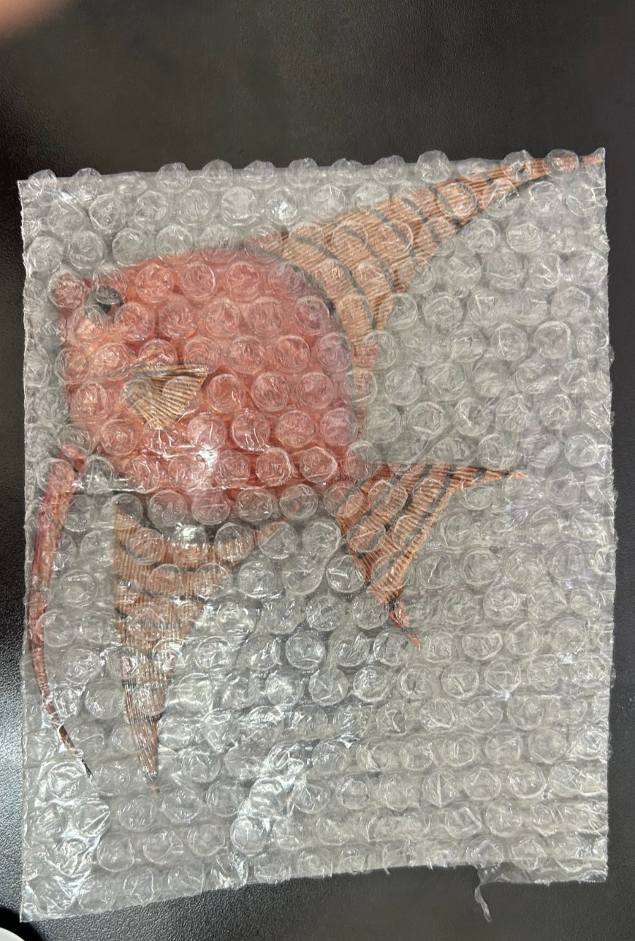 Vintege charlotte trade inc fresh water angel fish replic 8.5 x 5