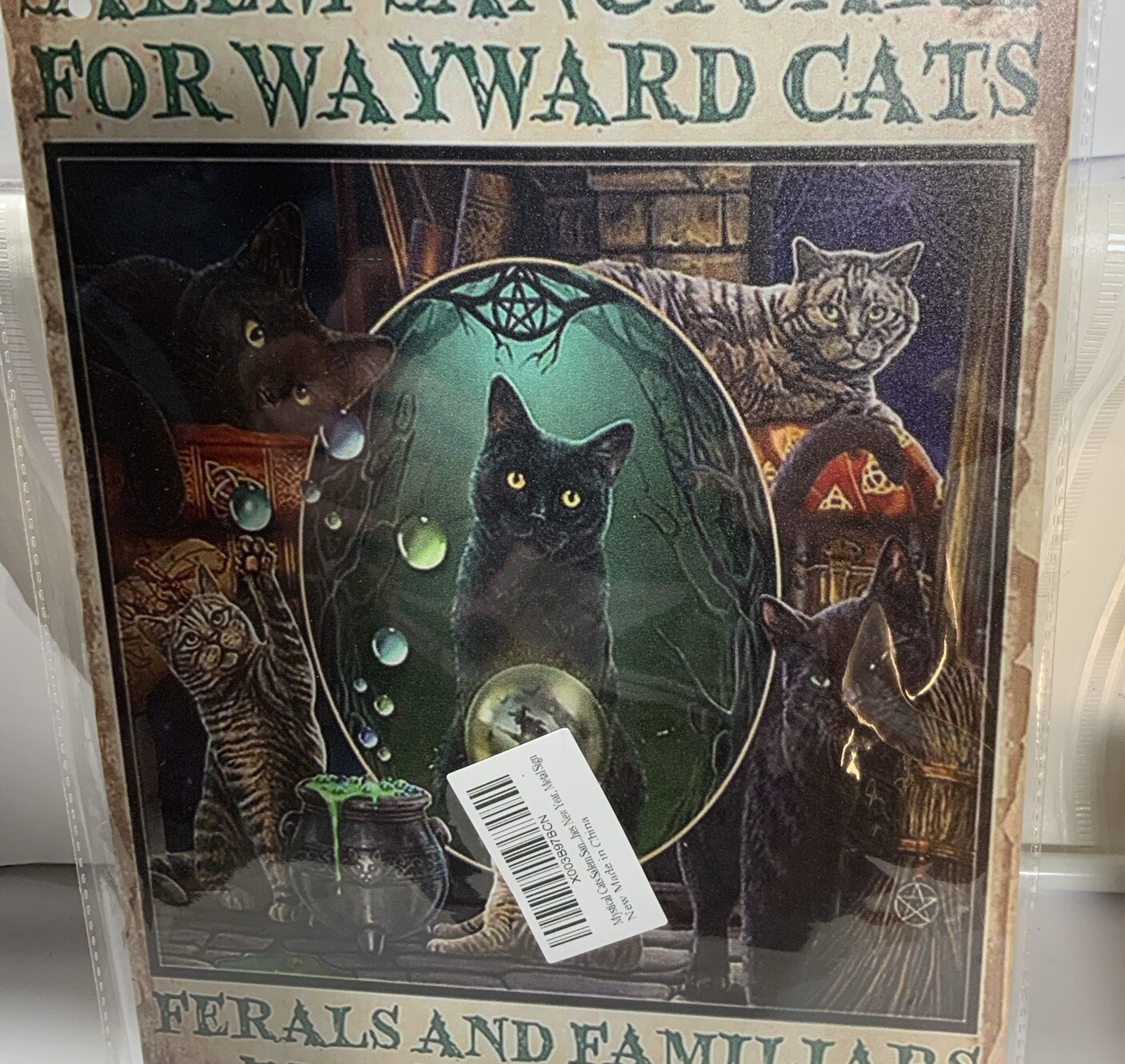 Mystical Black Cat Metal Tin Sign ” SALEM CAT SANCTUARY ” 8×12”