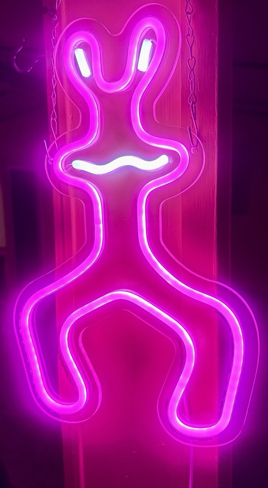 Pink Neon LED Animal Wall Sign, Illuminated Hanging Plastic, Vertical