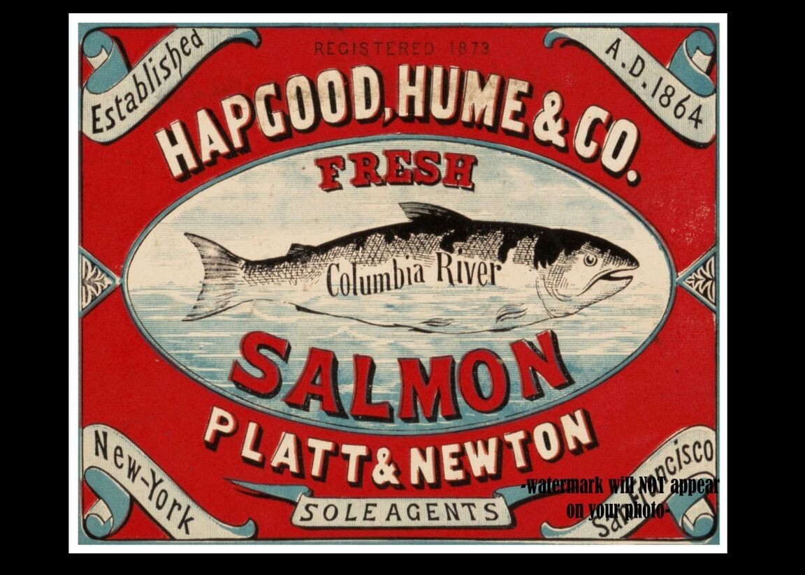 8×10 1873 Vintage Columbia River Salmon PHOTO Advertising Fishing Decor Poster