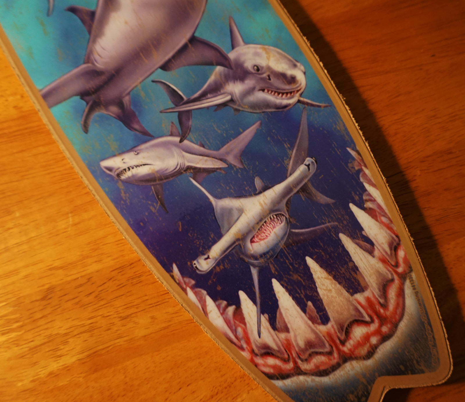 GREAT WHITE SHARK TEETH BITE SURFBOARD SIGN Beach Surfing Surfer Home Decor NEW