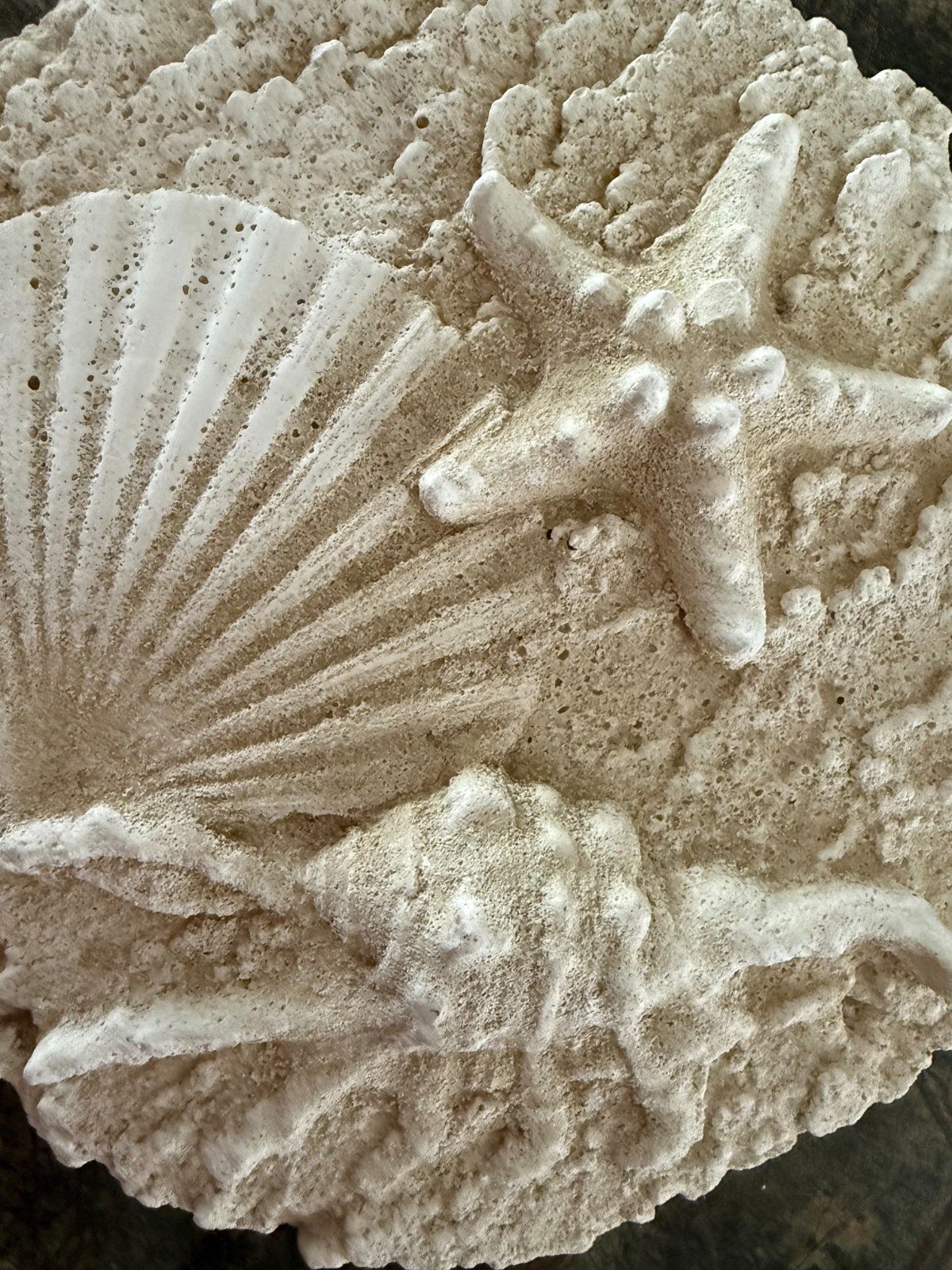 Seashell Wall Plaque Starfish Shells 8 1/2 x 9″ Cast Stone Cement Coastal Decor