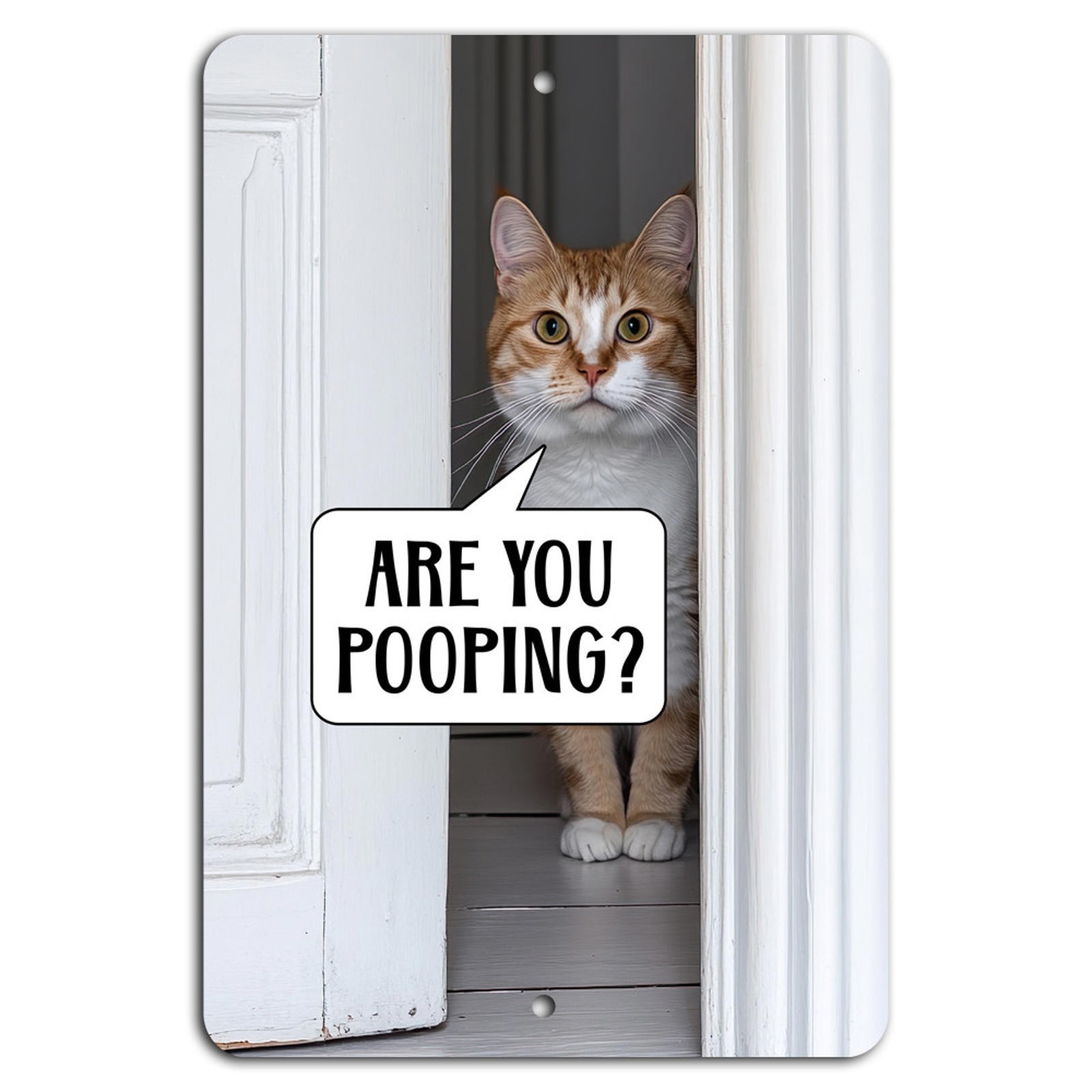 Cat’s Watchful Gaze: ‘Are You Pooping?’ Funny Door Sign