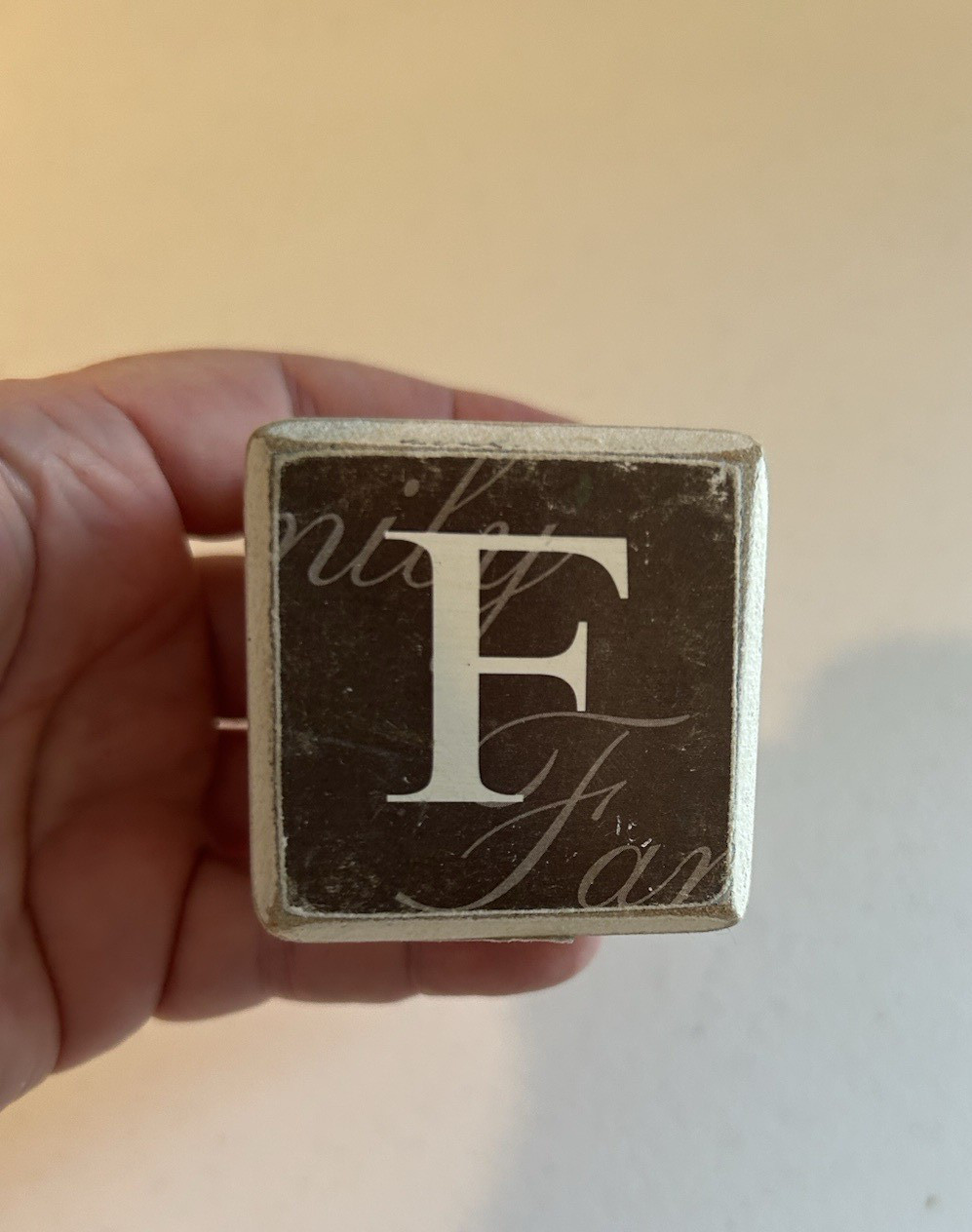 Hallmark 13 Family & Friends Decorative Painted Wooden Blocks 2″ White & Brown