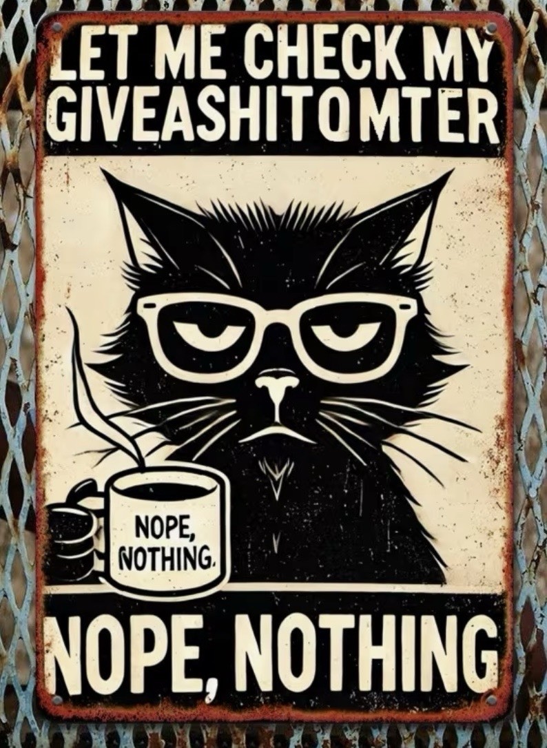 Novelty Cat Sign Retro Look Don’t Give A S*** Metal 8” X 12” NEW Vintage Appeal