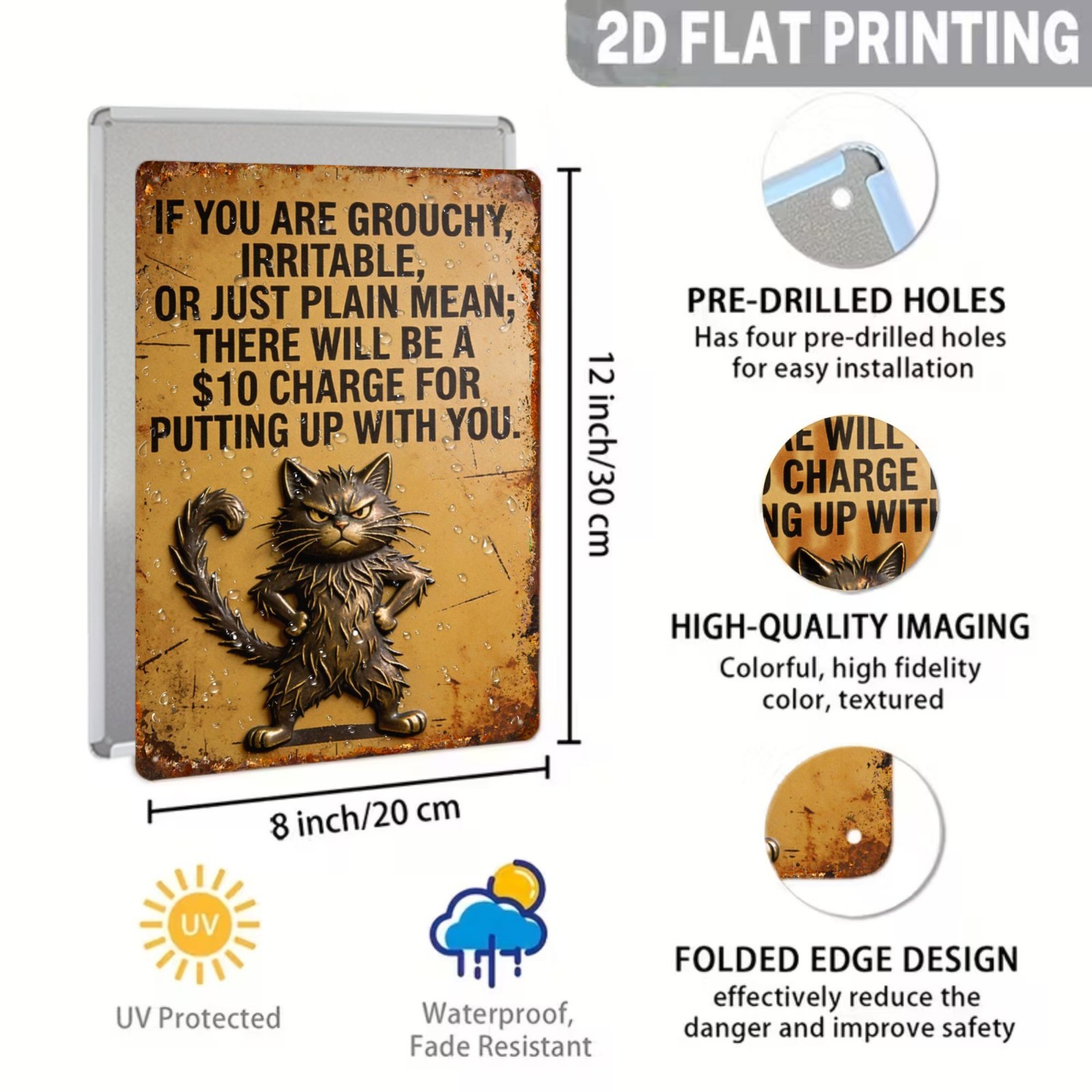 Funny Cat Metal Tin Sign If You Are Grouchy 10 Charge Office Sign Sarcastic Gift