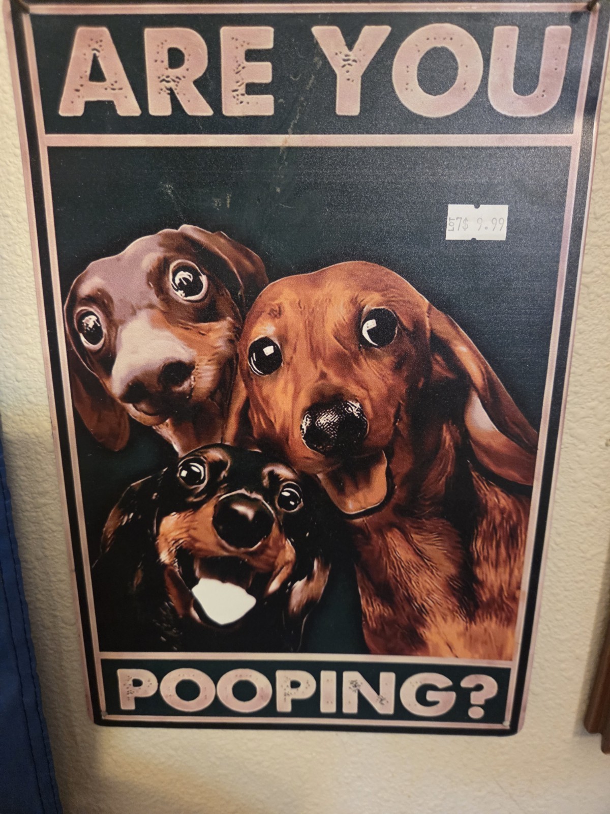 ARE YOU POOPING? BATHROOM TIN SIGN WITH PUPPIES.