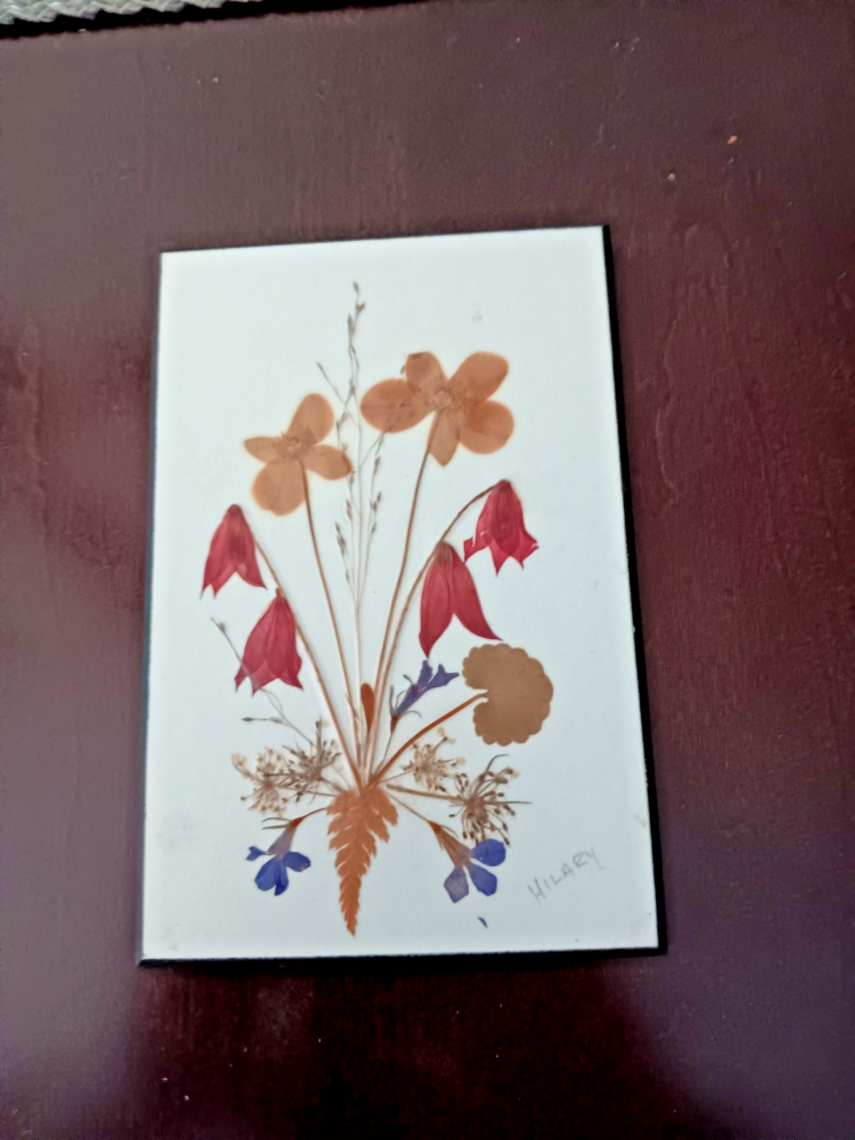 Pressed Flowers Wall Plaque 4×6 Inches Earthtone Colors Canada