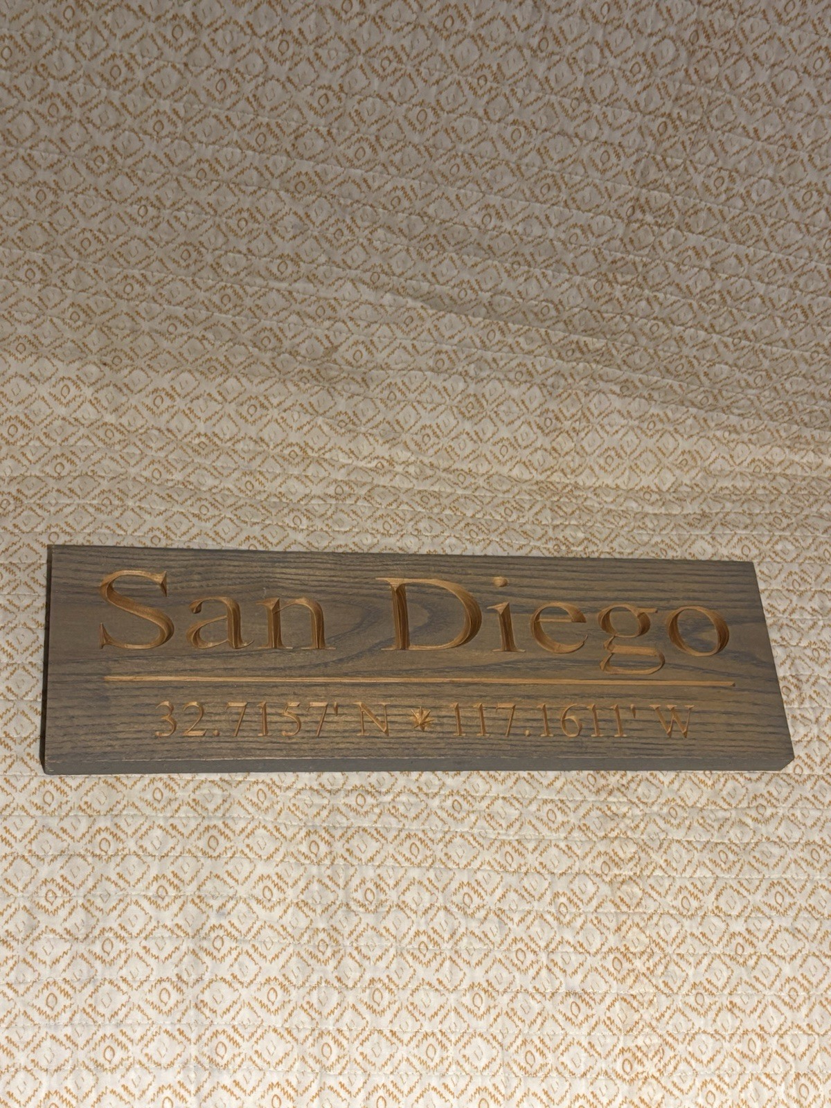 San Diego, CA Latitude Longitude Coordinates GPS City Sign Wall Room Home Decor