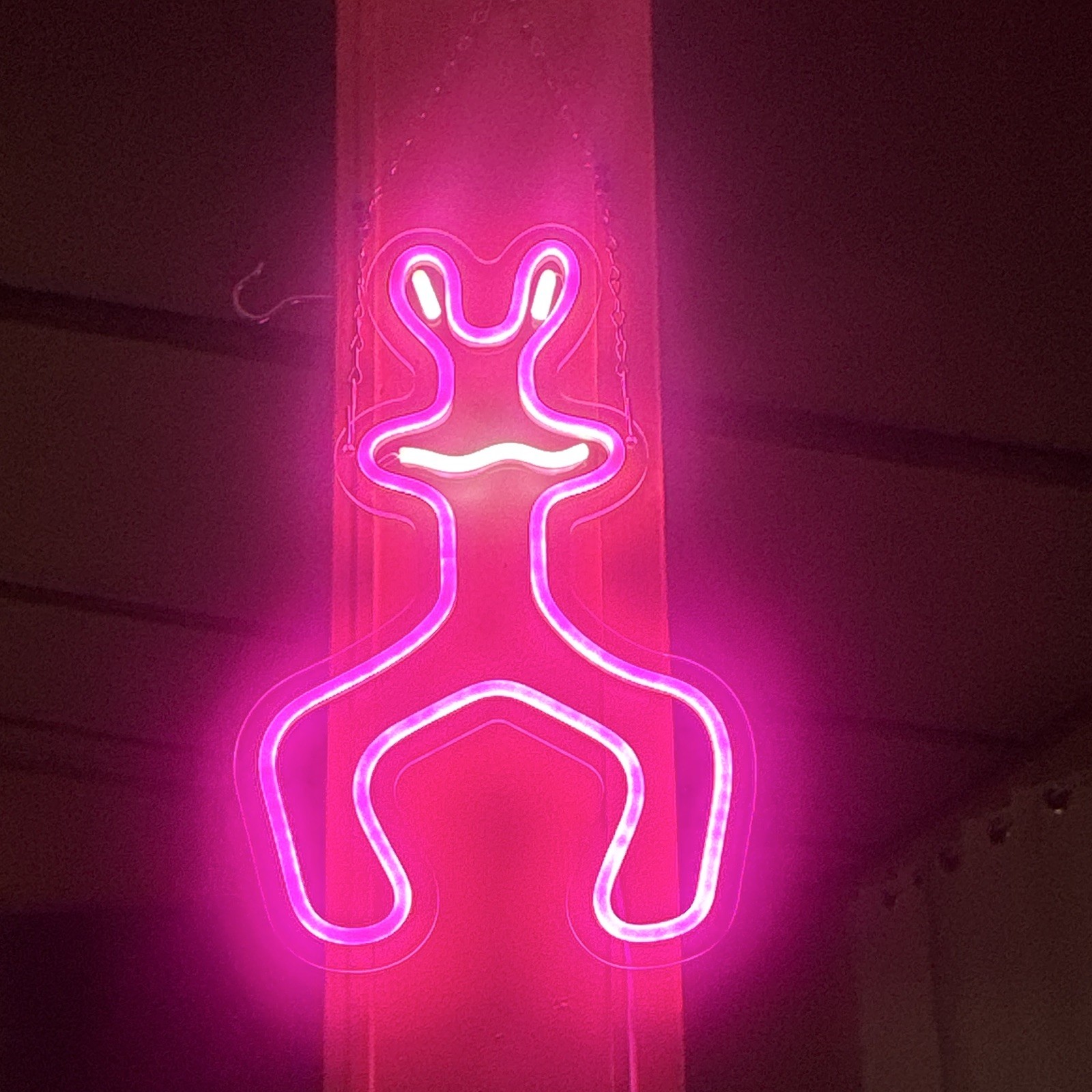 Pink Neon LED Animal Wall Sign, Illuminated Hanging Plastic, Vertical