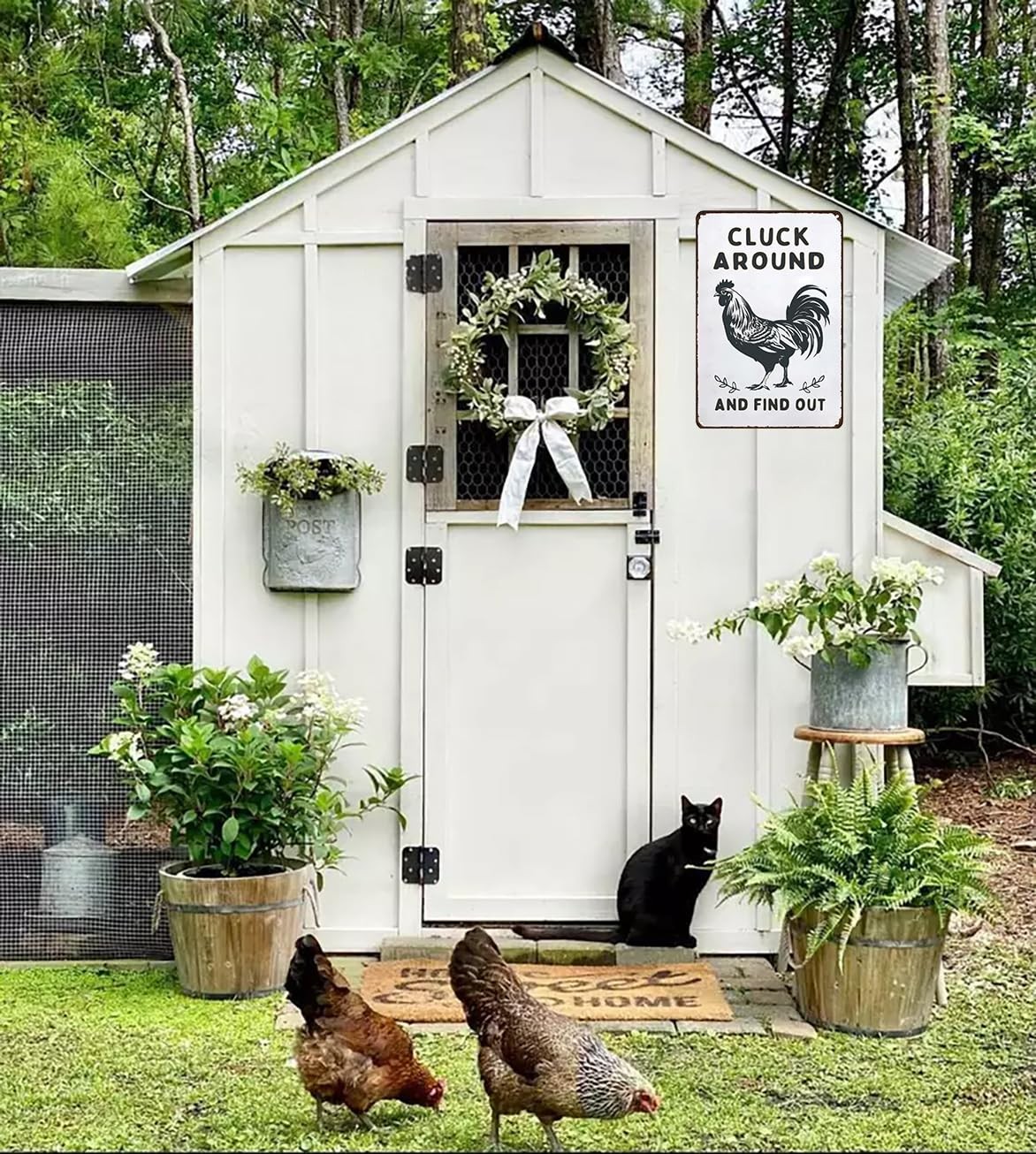 Funny Chicken Gifts Chicken Cluck Around and Find Out Tin Sign for Home Farm …
