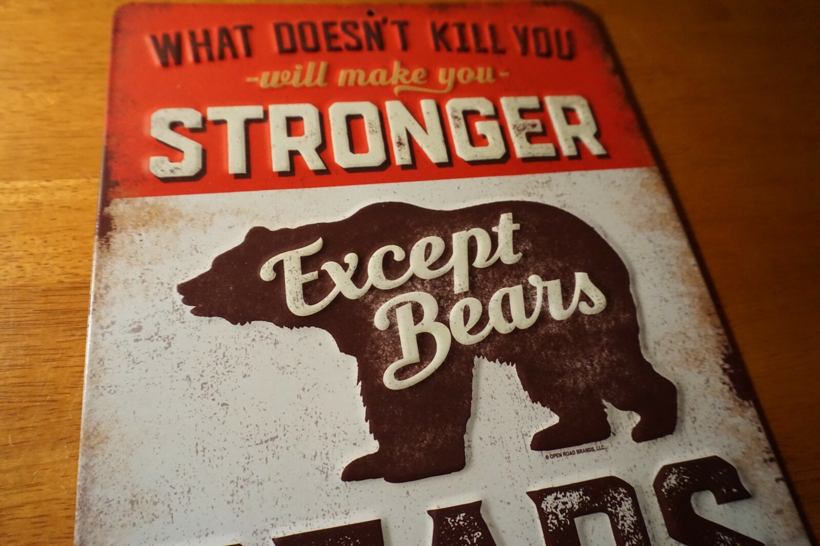 Rustic Vintage Bears Cabin Tin Sign Log Lodge Primitive Home Decor NEW