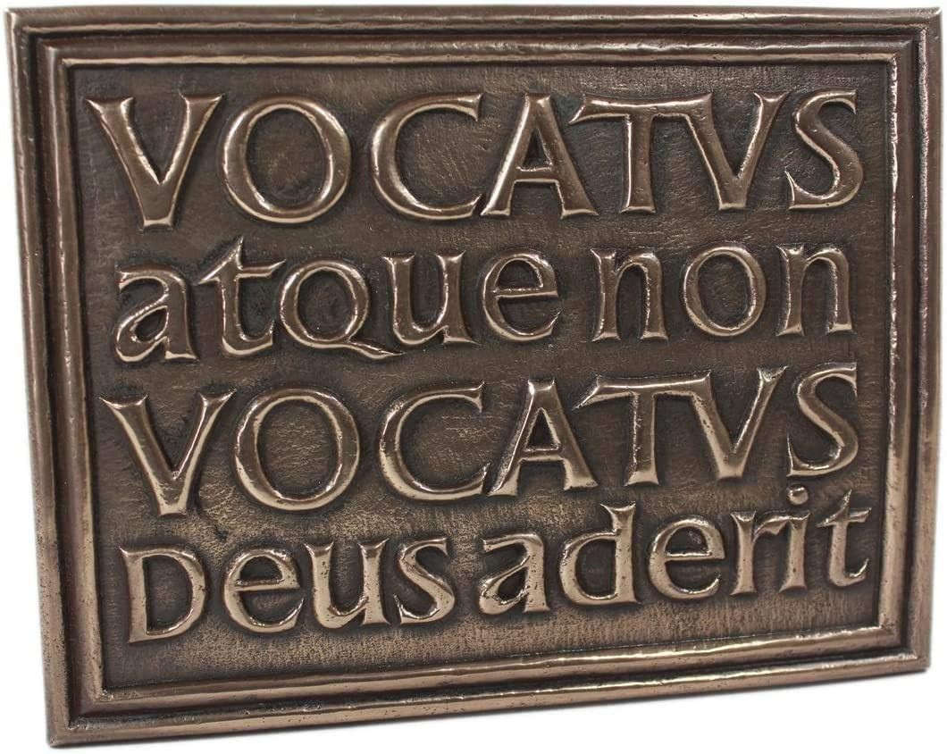 Wild Goose Celtic Vocatus Atque Non Vocatus Deusaderit Bronze Plaque Wall Art