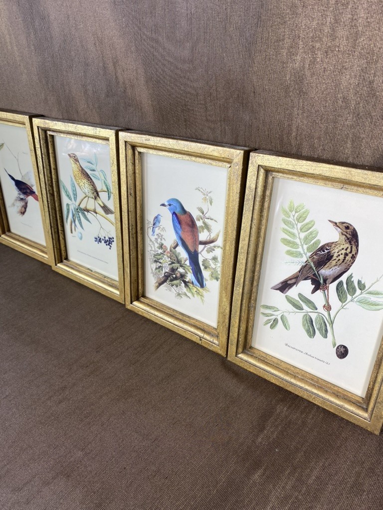 IMAX Set of 4 Wooden Bird Plaques Vintage Style Ornithology Gold Frame 9×6.5″