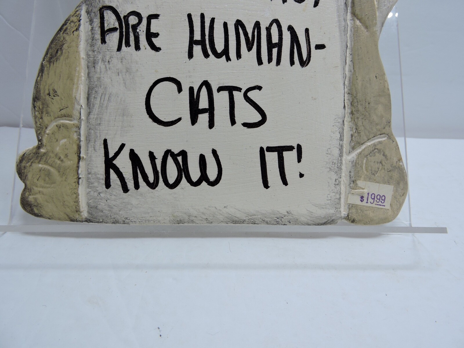 Cats are human sign pottery type Hangs anywhere and is adorable