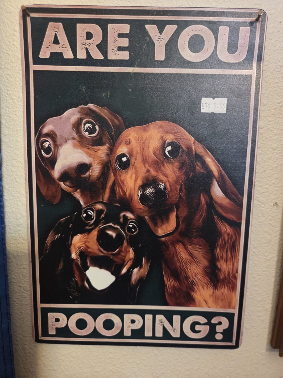 ARE YOU POOPING? BATHROOM TIN SIGN WITH PUPPIES.
