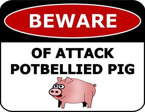 Beware Of Attack Potbellied Pig 11.5 inch by 9 inch Laminated Funny Sign