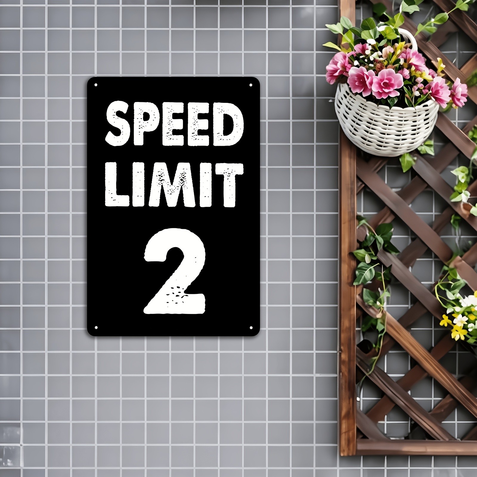 Metal Warning Sign 20*30cm 2 MPH Speed Limit