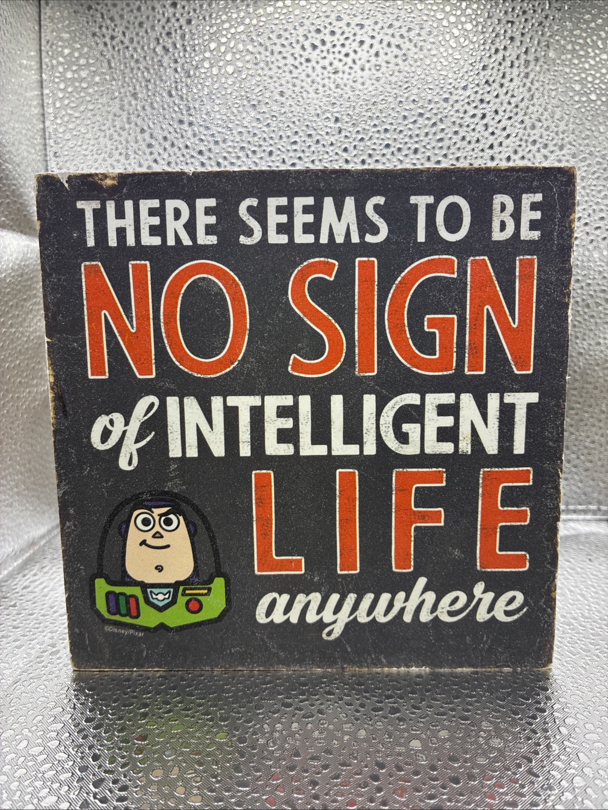 There Seems To Be No Sign Of Intelligent Life Anywhere Wood Plaque