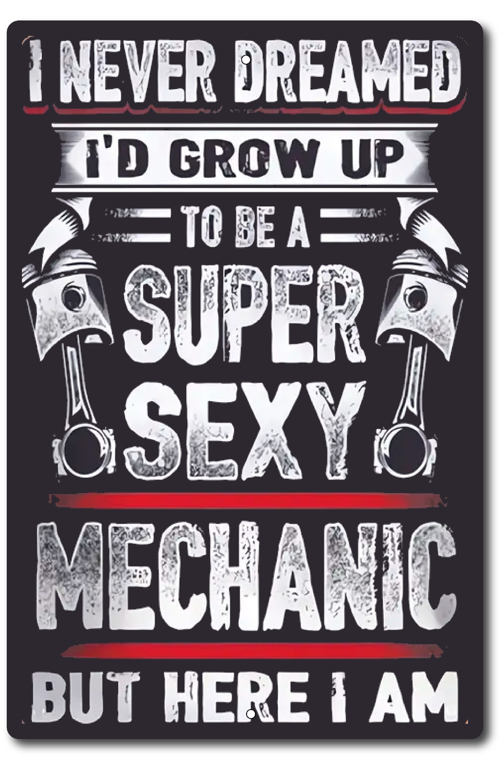 Metal Garage Sign Funny Female Sexy Mechanic Hourly Labor Rates Vintage Look