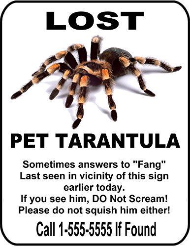 PCSCP Lost Pet Tarantula 11 inch by 9.5 inch Laminated Funny Sign