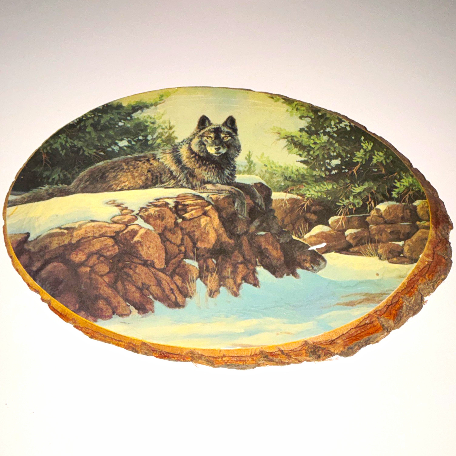 Wolf Scene Catskill Mts NY Rustic Oval Wood Slice Hanging Wall Plaque