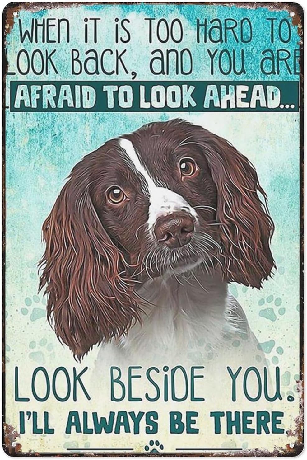 Vintage Tin Metal Signs English Springer Spaniel Look Right Beside You And I’Ll