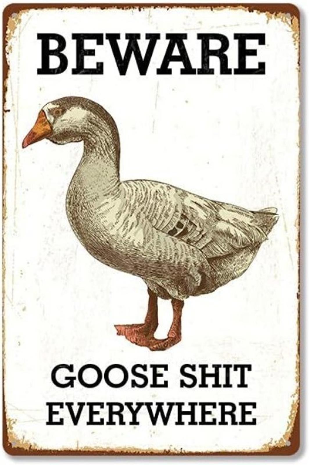Metal Tin Sign Aluminum Garage Funny Goose Beware Shop Wall Decor 8×12