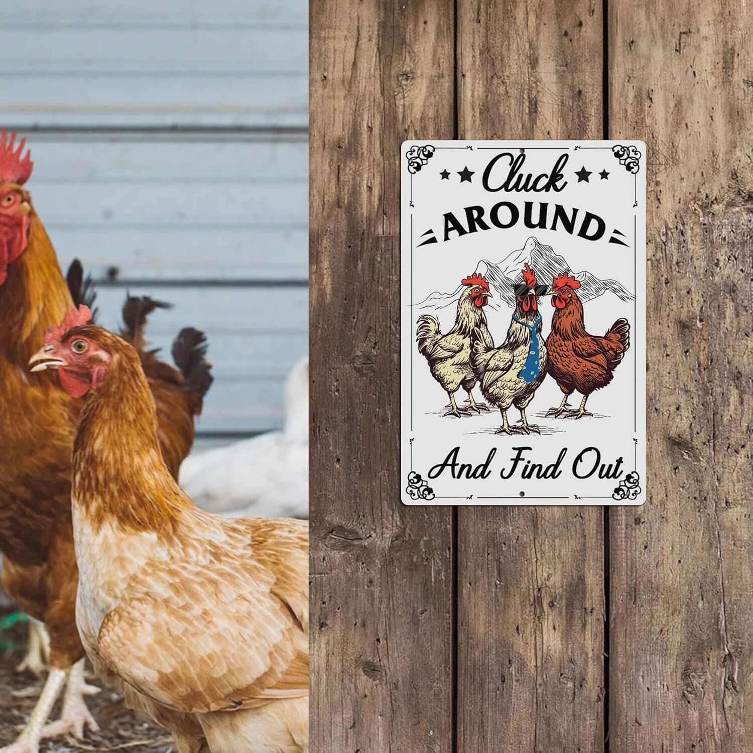 Putuo Decor Funny Chicken Sign Cluck Around And Find Out Metal Tin Sign Funny Wa