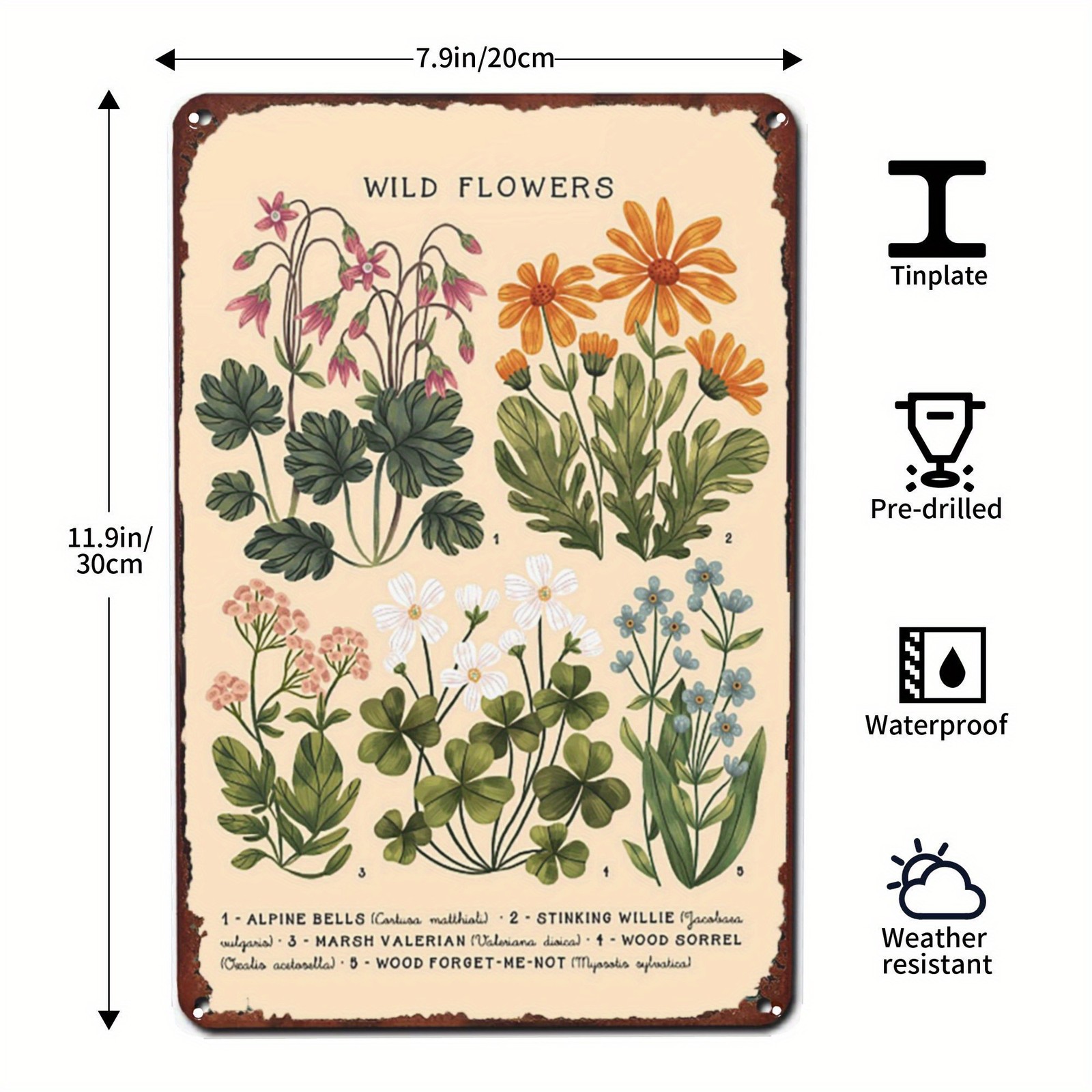 Vintage Wild Flowers Metal Wall Art 8×12 Inch Beige Brown