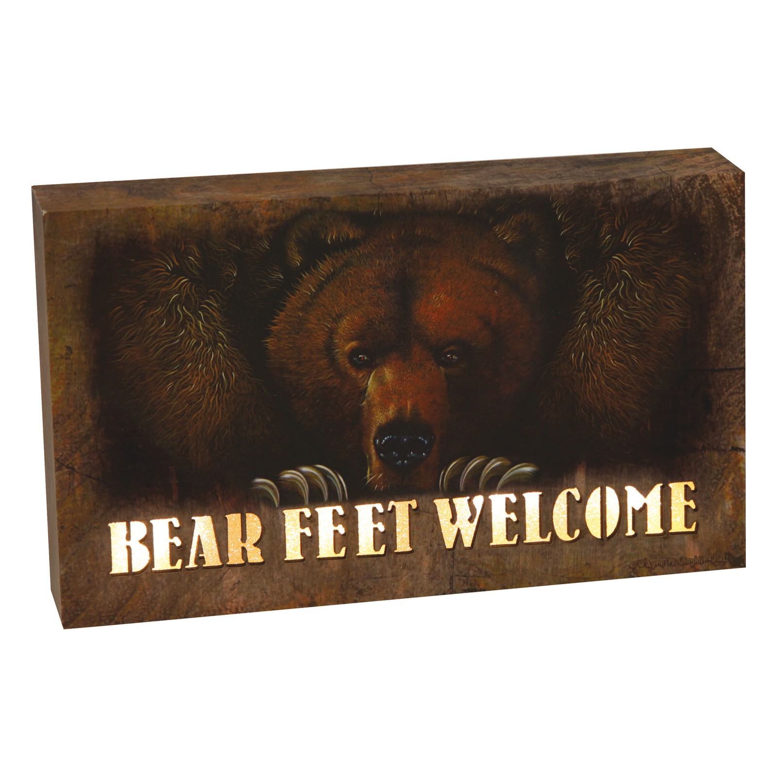 Rivers Edge Products LED Canvas Wall Art, 8″ x 5″, Fiber Optic Light Up Wall