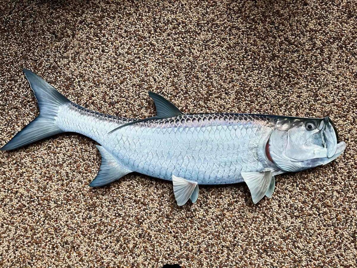 Tarpon Fish Wall Art 46” | Metal Fish Decor | Coastal Nautical Wall Hanging
