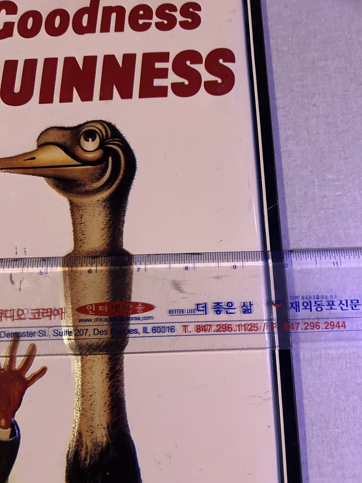 My Goodness My Guinness Tin Metal Sign Ostrich Irish Beer Pub Wall Decor