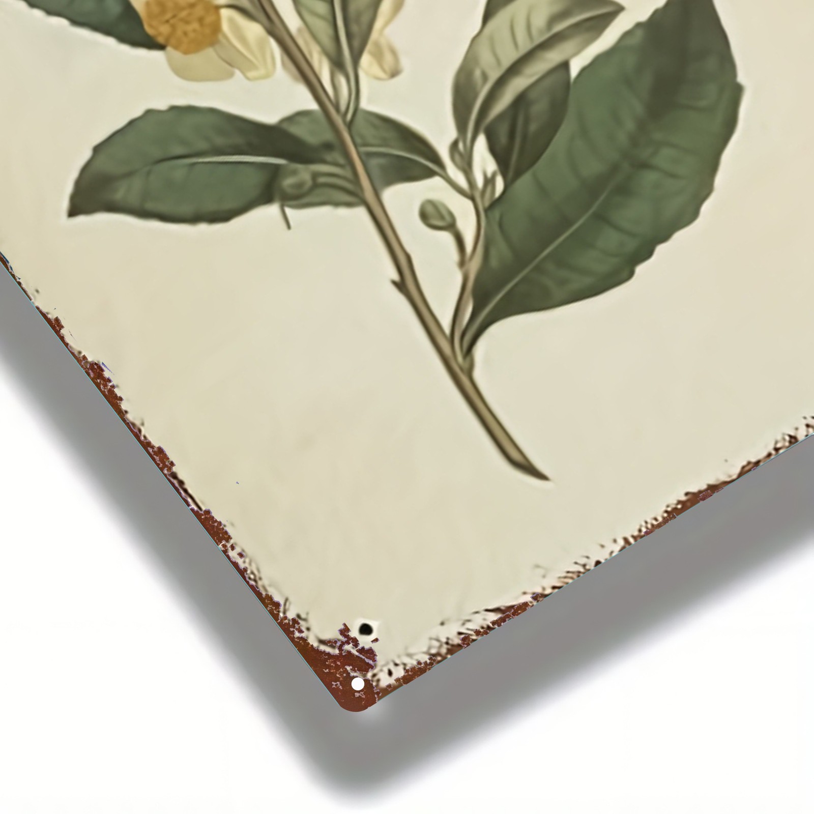 Vintage Botanical Tea Plant Metal Sign Retro Floral Wall Art Hanging Decoration