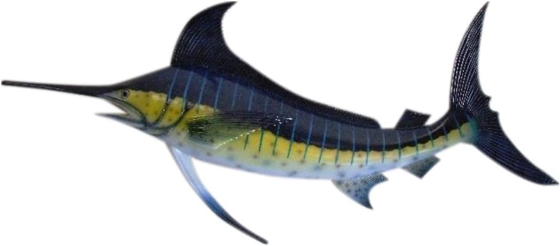 Marlin Replica Saltwater Fish Wall Decor
