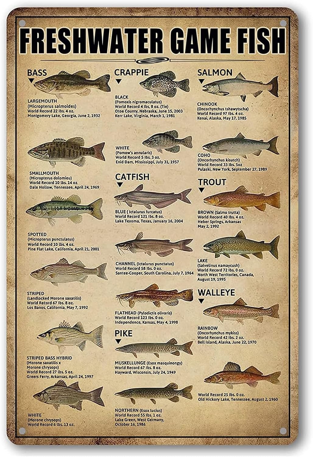 Fishing Wall Decor Rustic Cabin Hunting Fishing Signs Lake House Decor For Home
