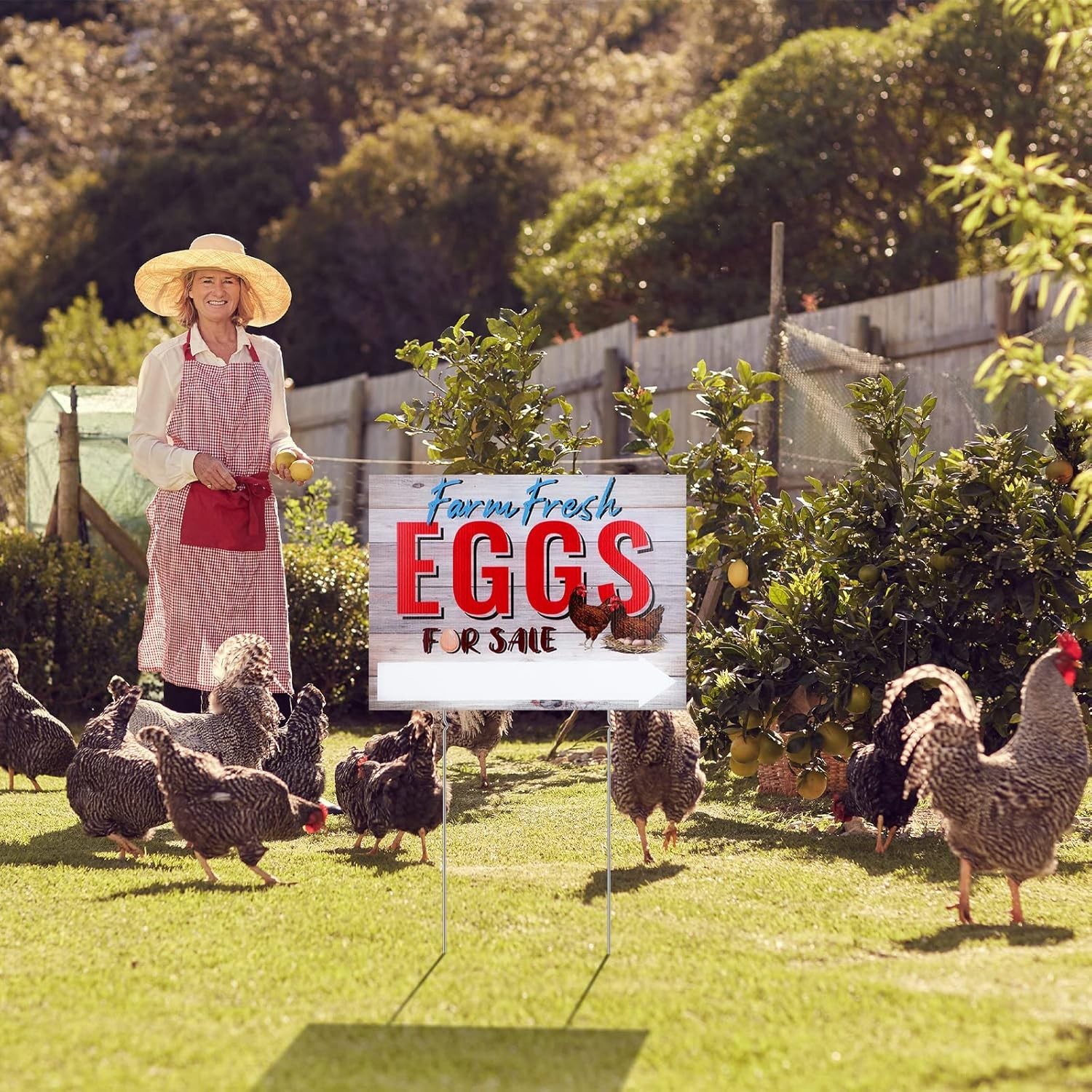 Farm Fresh Eggs Sale Sign 16×12 Waterproof Corrugated Plastic Yard Signs